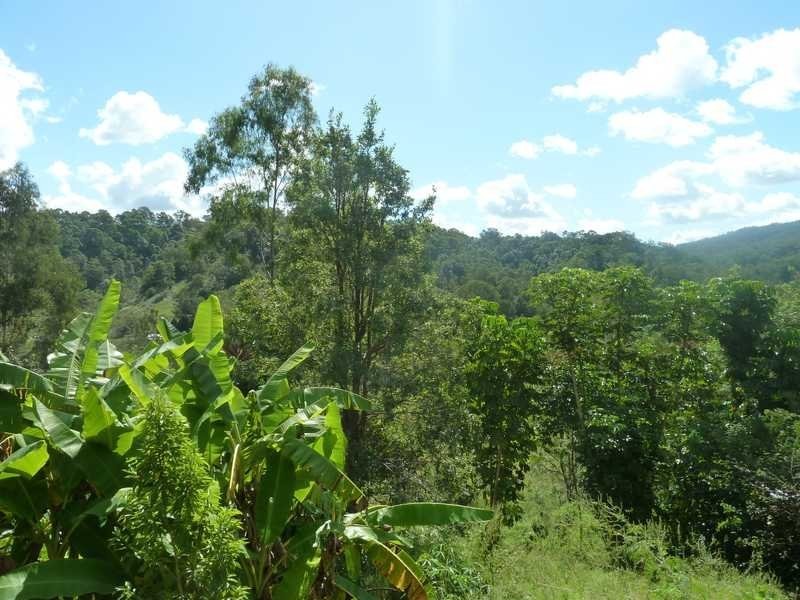 Lot 14 Boorabee Creek Road Boorabee Via, Kyogle NSW 2474