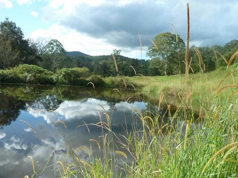 Lot 14 Boorabee Creek Road Boorabee Via, Kyogle NSW 2474