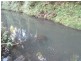 Lot 14 Boorabee Creek Road Boorabee Via, Kyogle NSW 2474