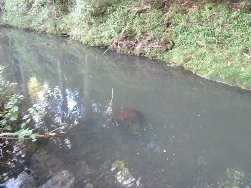 Lot 14 Boorabee Creek Road Boorabee Via, Kyogle NSW 2474
