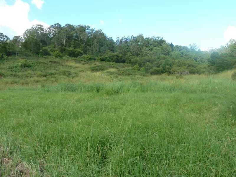 Lot 14 Boorabee Creek Road Boorabee Via, Kyogle NSW 2474