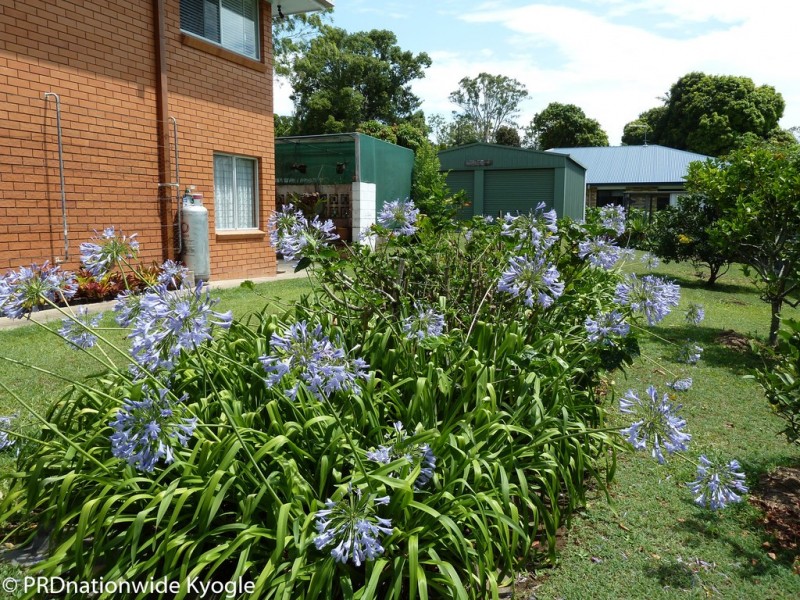 12 James Street, Geneva NSW 2474