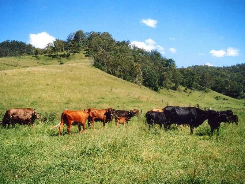 403 Grady’s Creek Road, Kyogle NSW 2474
