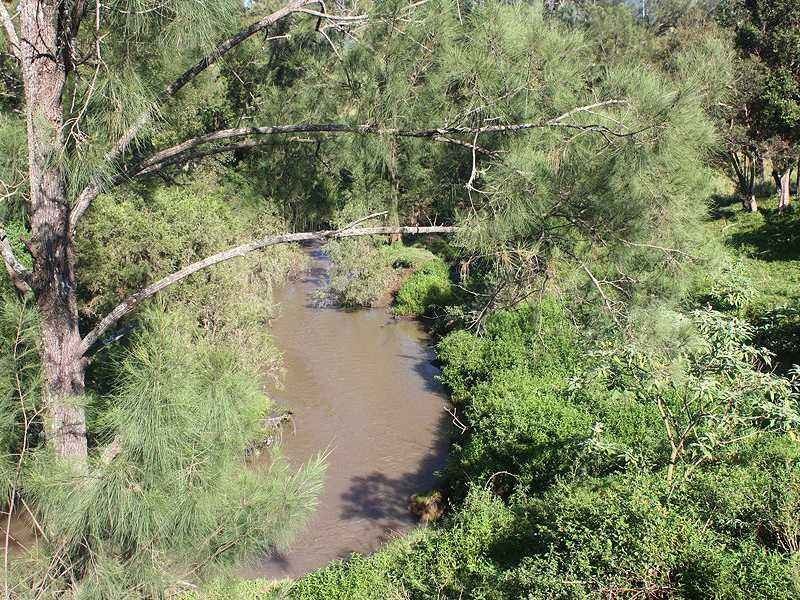 403 Grady’s Creek Road, Kyogle NSW 2474