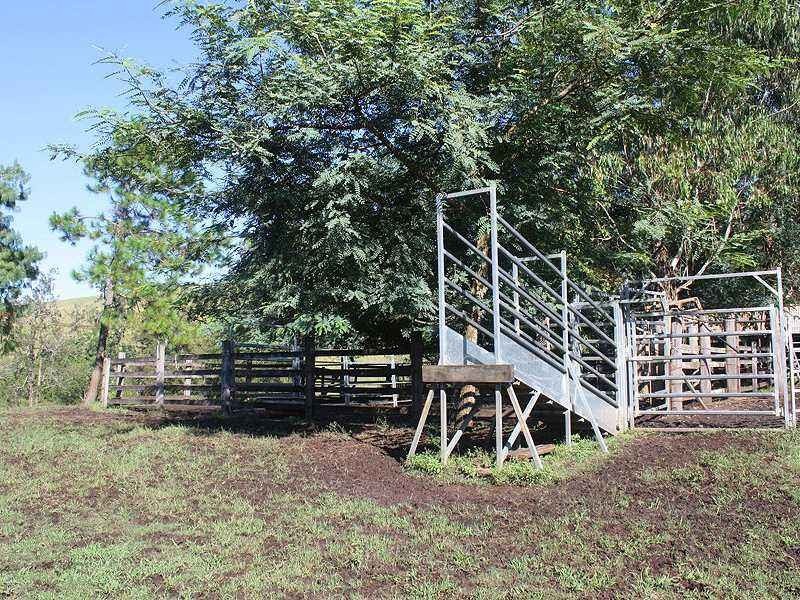 403 Grady’s Creek Road, Kyogle NSW 2474