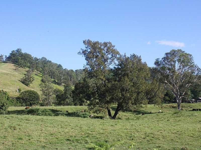 403 Grady’s Creek Road, Kyogle NSW 2474
