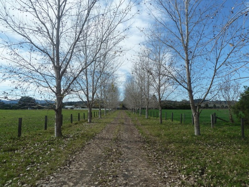 850 Wiangaree Back Road, Kyogle NSW 2474