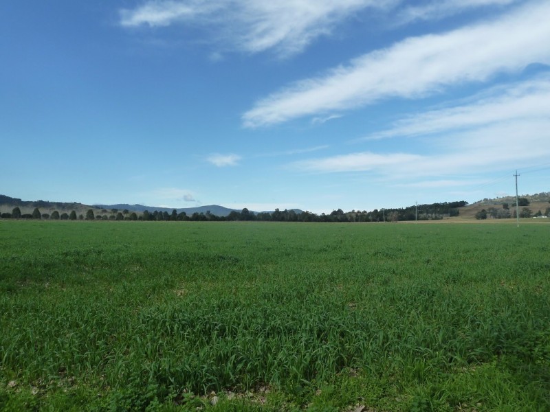 850 Wiangaree Back Road, Kyogle NSW 2474