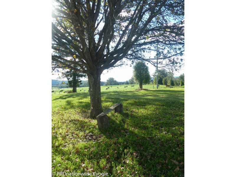 850 Wiangaree Back Road, Kyogle NSW 2474