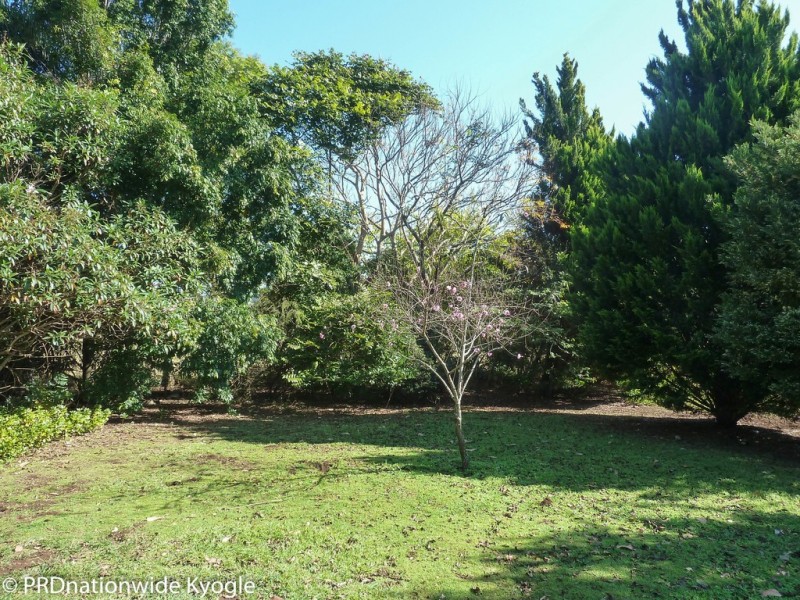 12568 Summerland Way, Cedar Point via, Kyogle NSW 2474