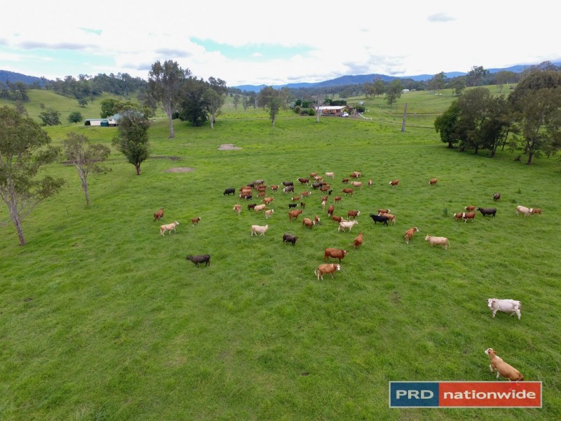 45 Green Pigeon Road, Kyogle NSW 2474