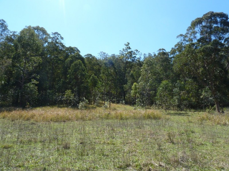 1088 Old Dyraaba Road, Kyogle NSW 2474