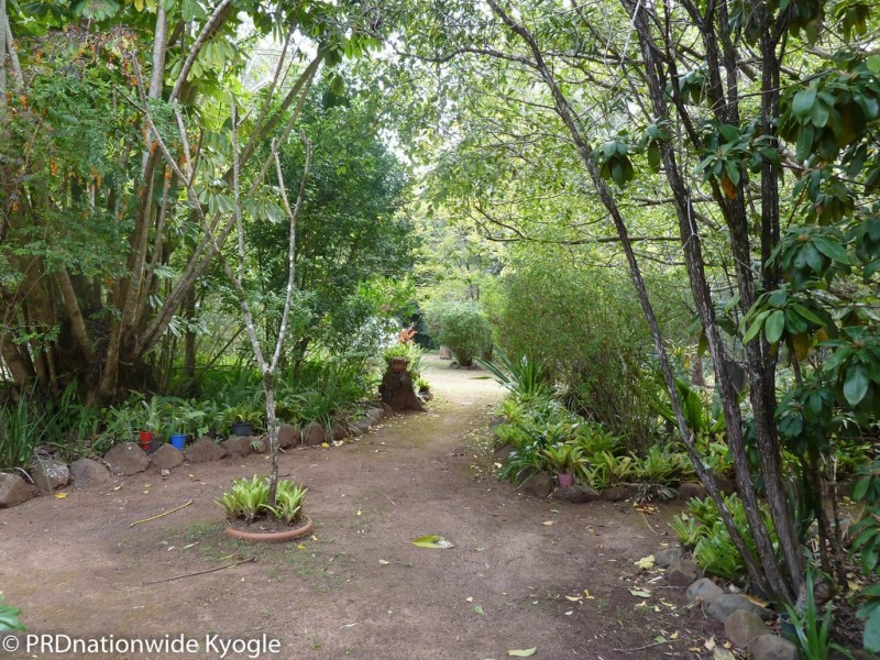 45 Elliots Road, Green Pigeon via, Kyogle NSW 2474