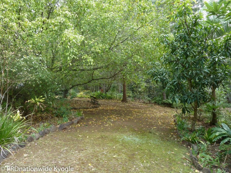 45 Elliots Road, Green Pigeon via, Kyogle NSW 2474