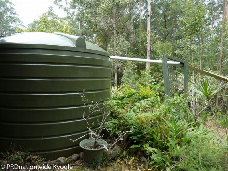 45 Elliots Road, Green Pigeon via, Kyogle NSW 2474