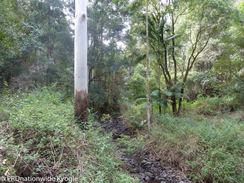 45 Elliots Road, Green Pigeon via, Kyogle NSW 2474