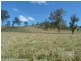 Lot 291 Applegum Road, Kyogle NSW 2474