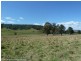 Lot 291 Applegum Road, Kyogle NSW 2474
