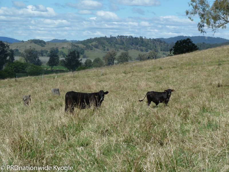 Lot 291 Applegum Road, Kyogle NSW 2474