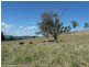 Lot 291 Applegum Road, Kyogle NSW 2474