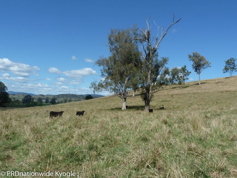 Lot 291 Applegum Road, Kyogle NSW 2474