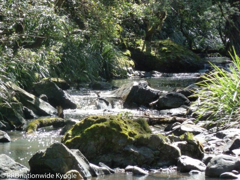 118 Williams Road, Wadeville via, Kyogle NSW 2474