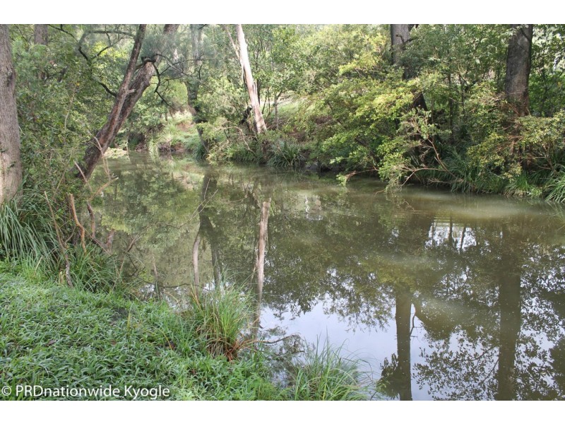 118 Williams Road, Wadeville via, Kyogle NSW 2474