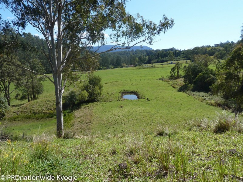 118 Williams Road, Wadeville via, Kyogle NSW 2474