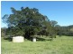 118 Williams Road, Wadeville via, Kyogle NSW 2474