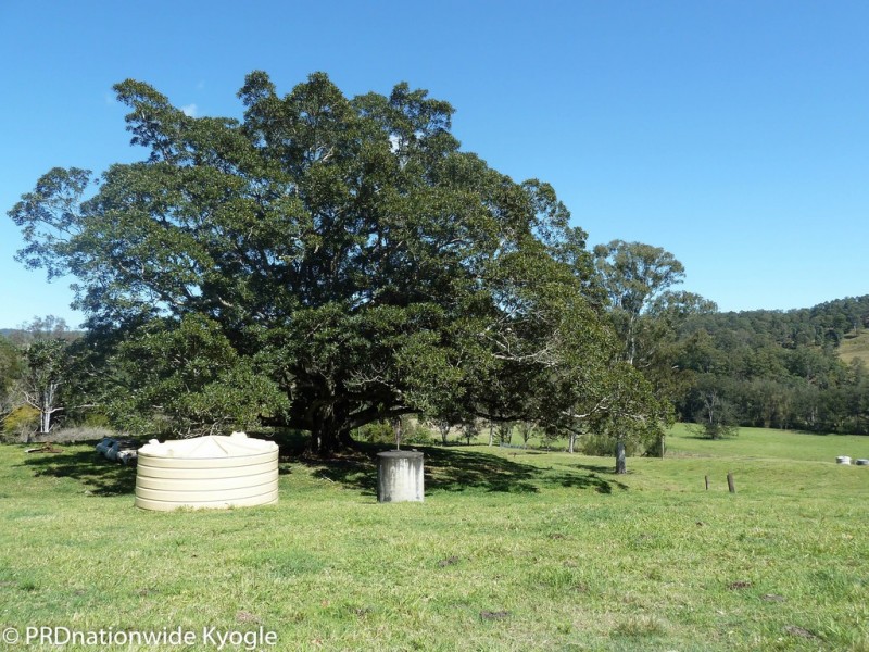 118 Williams Road, Wadeville via, Kyogle NSW 2474