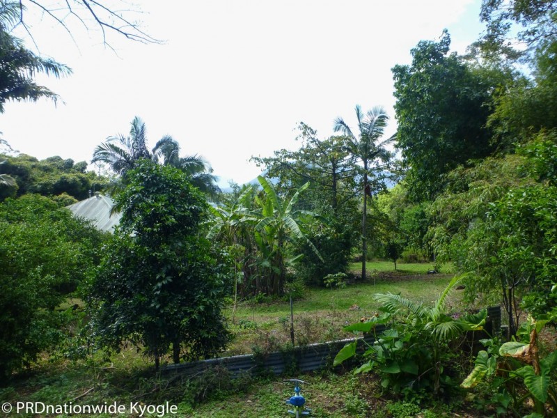 177 Falls Road, Nimbin NSW 2480