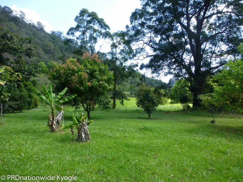 177 Falls Road, Nimbin NSW 2480