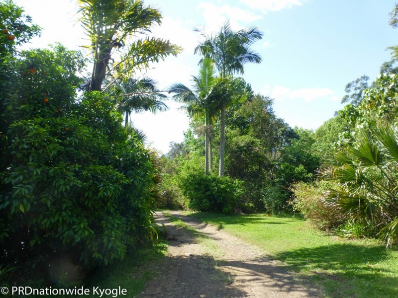 177 Falls Road, Nimbin NSW 2480