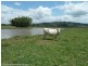 148 Collins Creek Road, Kyogle NSW 2474