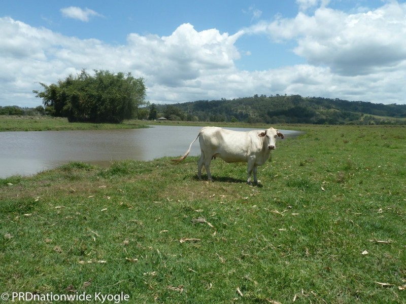 148 Collins Creek Road, Kyogle NSW 2474