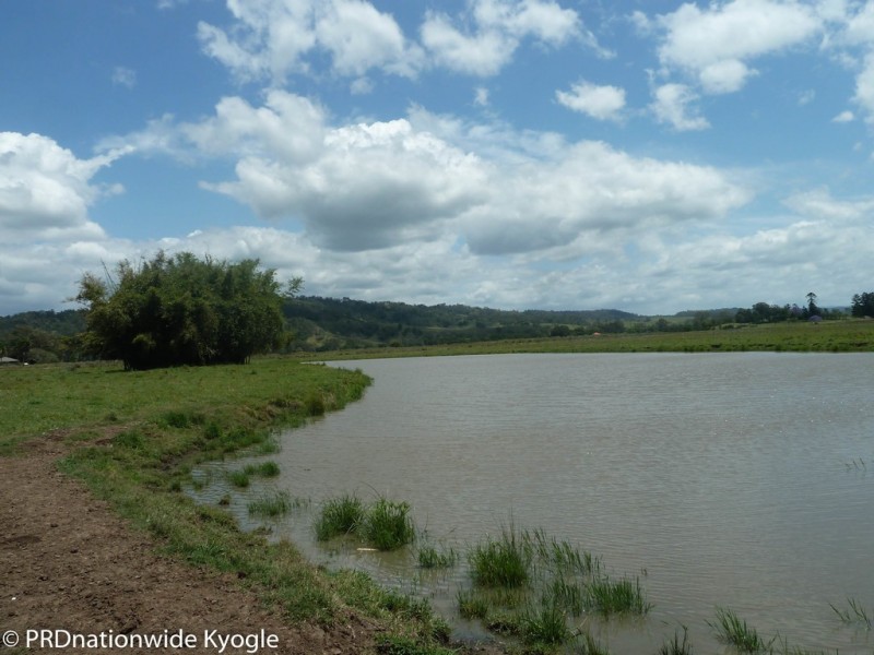 148 Collins Creek Road, Kyogle NSW 2474