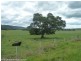 148 Collins Creek Road, Kyogle NSW 2474