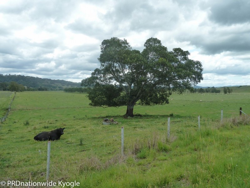 148 Collins Creek Road, Kyogle NSW 2474