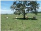 148 Collins Creek Road, Kyogle NSW 2474