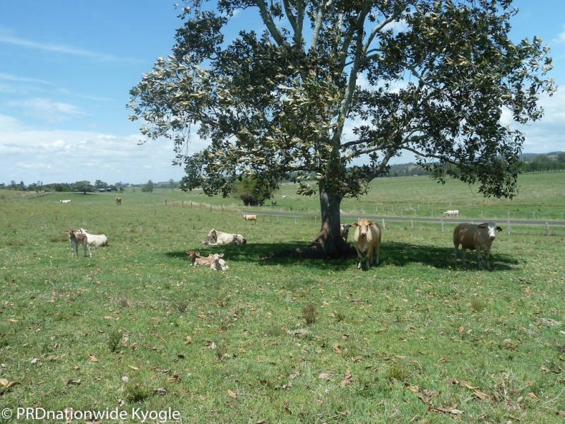 148 Collins Creek Road, Kyogle NSW 2474