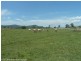 148 Collins Creek Road, Kyogle NSW 2474
