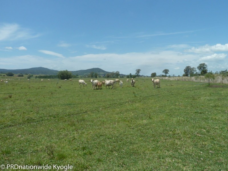 148 Collins Creek Road, Kyogle NSW 2474