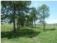 148 Collins Creek Road, Kyogle NSW 2474
