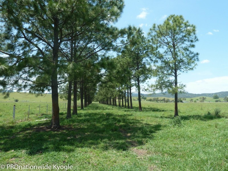 148 Collins Creek Road, Kyogle NSW 2474