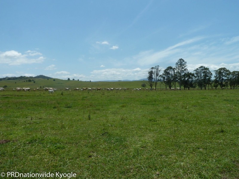 148 Collins Creek Road, Kyogle NSW 2474