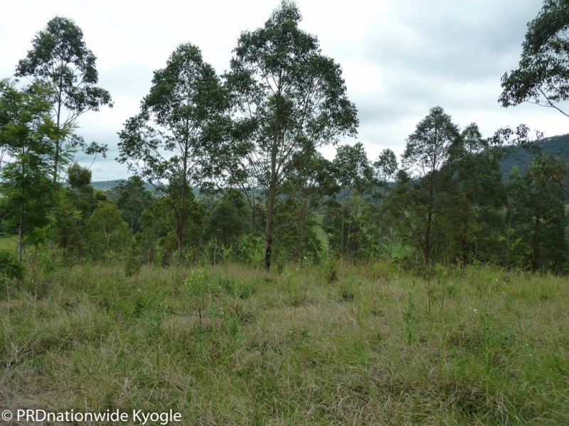 1270 Collins Creek Road, Collins Creek NSW 2474