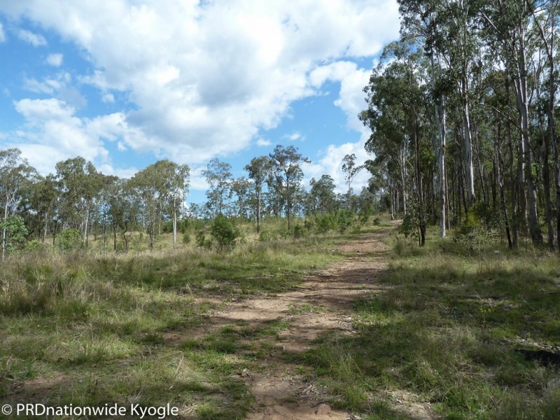 4194 Paddys Flat Road, Tooloom NSW 2475