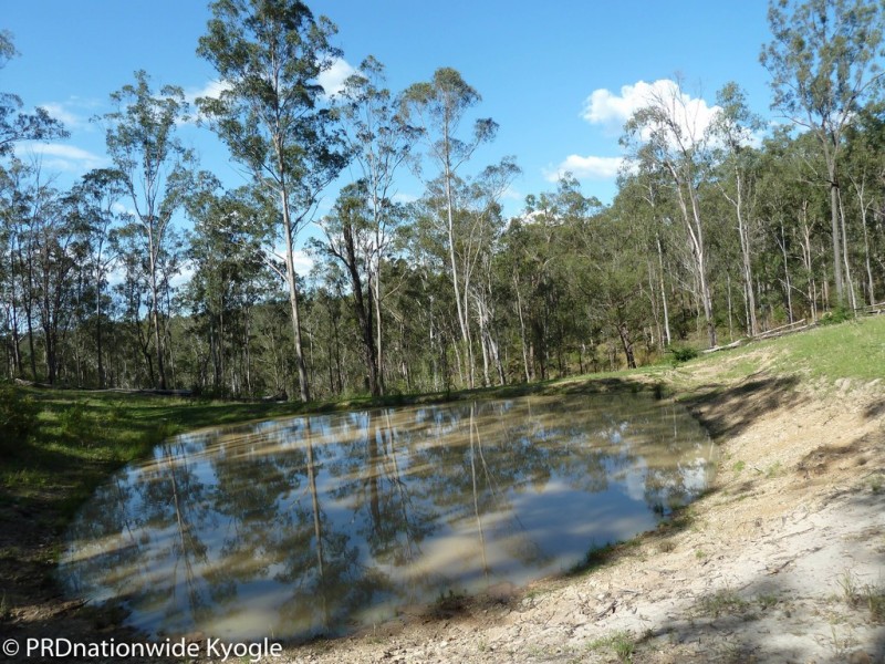 4194 Paddys Flat Road, Tooloom NSW 2475