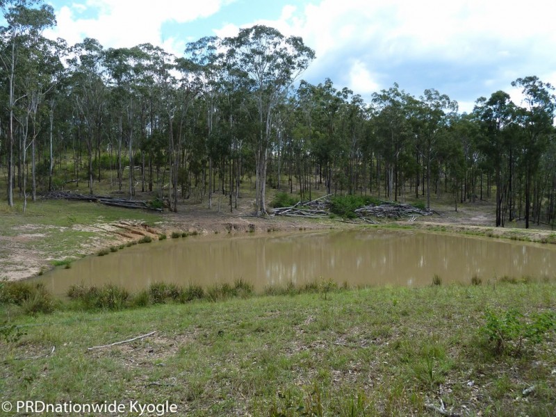 4194 Paddys Flat Road, Tooloom NSW 2475