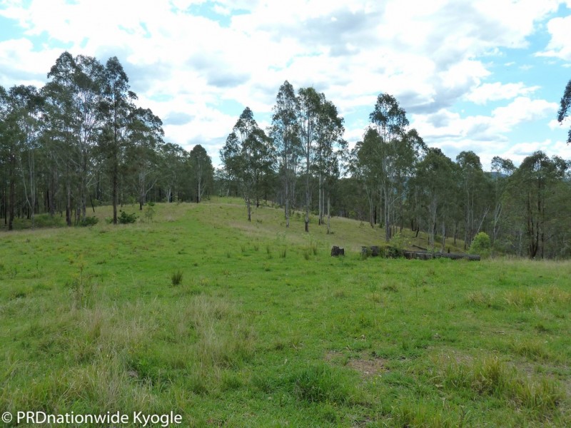 4194 Paddys Flat Road, Tooloom NSW 2475